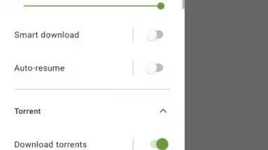 Captura de tela de Advanced Download Manager 10