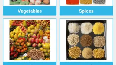 Captura de tela de Food Dictionary 5