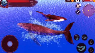 Captura de tela de The Humpback Whales 21
