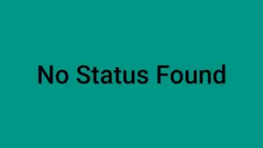 Captura de tela de Whatsapp Status Saver 1