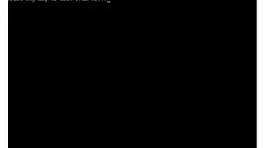 Captura de tela de Install Windows 8 Tutorial 3