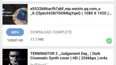 Captura de tela de YVideo Downloader 2