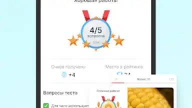 Captura de tela de ServiceGuru 3