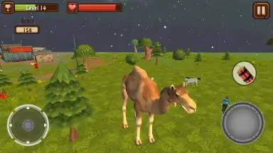 Captura de tela de Camel Simulator 4