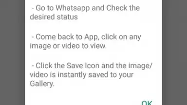 Captura de tela de WA Status Downloader 1