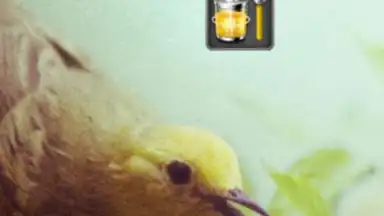 Captura de tela de Deep Sleep Battery Saver 4