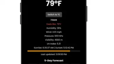 Captura de tela de ForecastPro 3