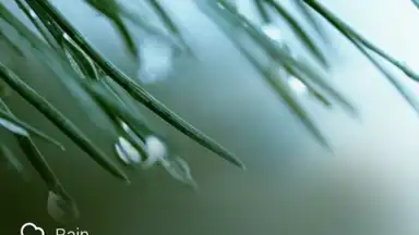 Captura de tela de GO Weather Forecast and Widgets 6