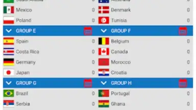 Captura de tela de World Football Simulator 3