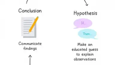 Captura de tela de Socratic by Google 5