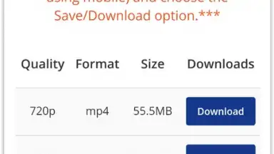 Captura de tela de Pick Video downloader 10
