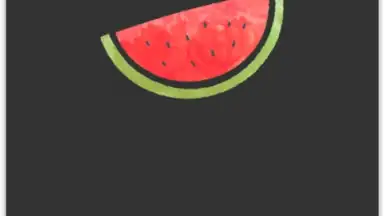Captura de tela de VPN Melon 1