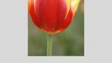 Captura de tela de Canon PRINT Inkjet/SELPHY 3