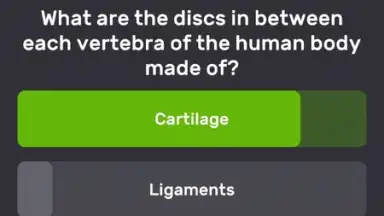 Captura de tela de QuizzLand 5