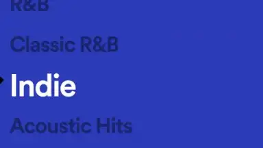 Captura de tela de Spotify Stations 12