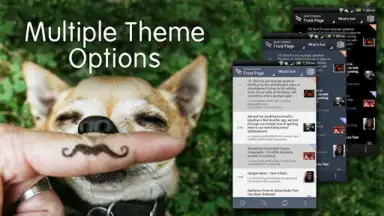 Captura de tela de BaconReader for Reddit 5