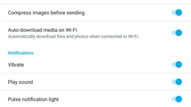 Captura de tela de Skype Lite 1