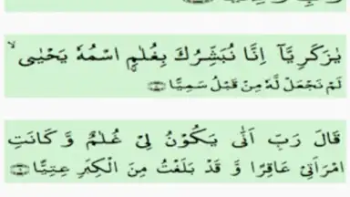 Captura de tela de Surah Maryam with Mp3 3
