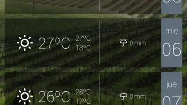 Captura de tela de anpWeather 5