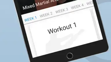 Captura de tela de Ultimate MMA Fighting Program 5