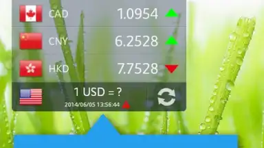 Captura de tela de Currency Exchange Rates 8