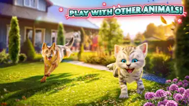 Captura de tela de Cat Simulator 2 5