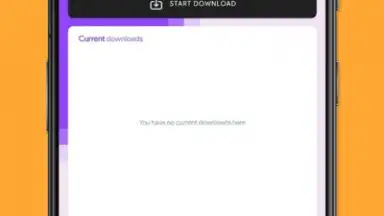 Captura de tela de Twitch Downloader 3