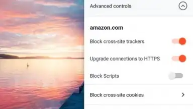 Captura de tela de Brave Nightly (devs & testers) 1