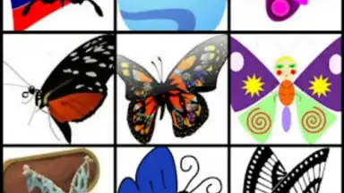 Captura de tela de Butterfly Flower for DoodleTex 4