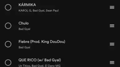 Captura de tela de Spotify 15