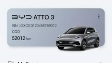 Captura de tela de BYD 1