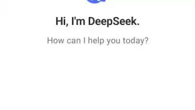 Captura de tela de DeepSeek 1