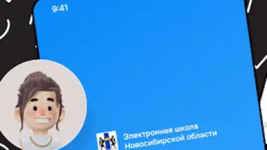 Captura de tela de Дневник Новосибирской области 4