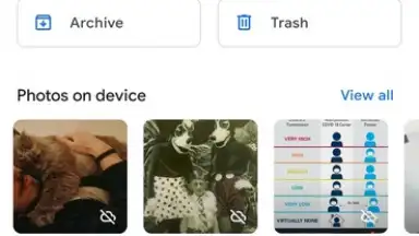 Captura de tela de Google Photos 7