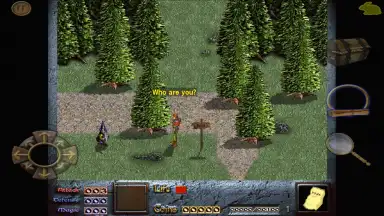Captura de tela de Dink Smallwood HD 8