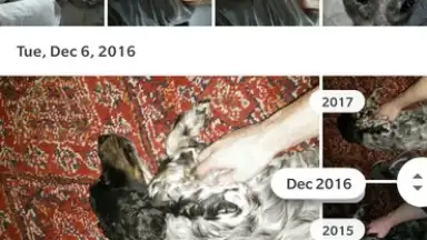 Captura de tela de Google Photos 4