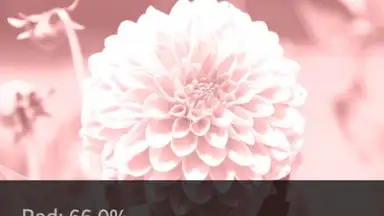 Captura de tela de After Effect 8