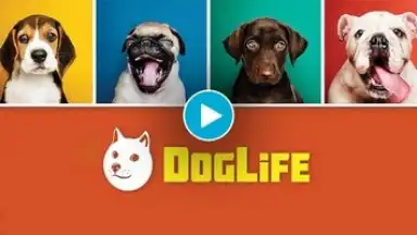 Captura de tela de DogLife: BitLife Dogs 1