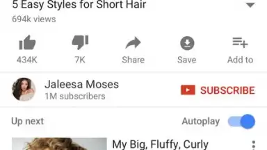 Captura de tela de YouTube Pro Downloder 1