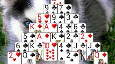 Captura de tela de 250+ Solitaire Collection 8