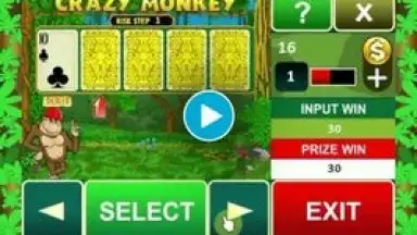 Captura de tela de Crazy Monkey Slot Machine 1