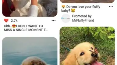 Captura de tela de Pinterest 3