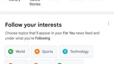 Captura de tela de Google News 10