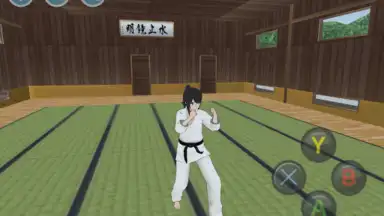 Captura de tela de HSS 2019 Preview 14