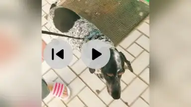 Captura de tela de iShot Video Editor 2