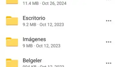 Captura de tela de Microsoft OneDrive 1