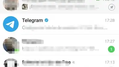 Captura de tela de ForkGram 7
