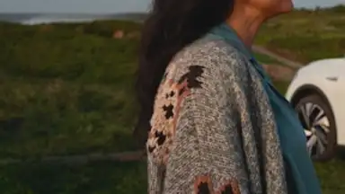 Captura de tela de Volkswagen 8