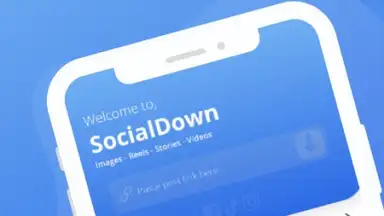 Captura de tela de SocialDown: no watermark 2