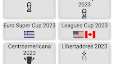 Captura de tela de World Football Simulator 14